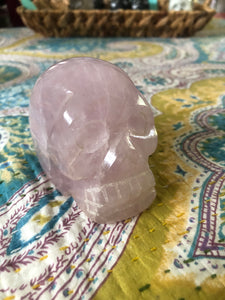 Rose Quartz Skull ~ ascension & light work