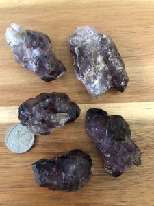 Large Amethyst Specimen pack of 5 ~ Expansion, Release, Clearing, Freedom, Possibility & Divine Wisdom (#6)