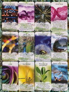 Raise your vibration, daily message cards SPECIAL
